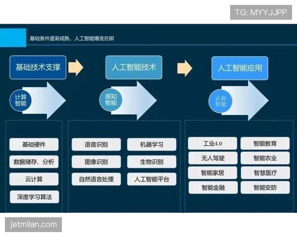 青训规则中的关键发展标准与裁判执行细则解析